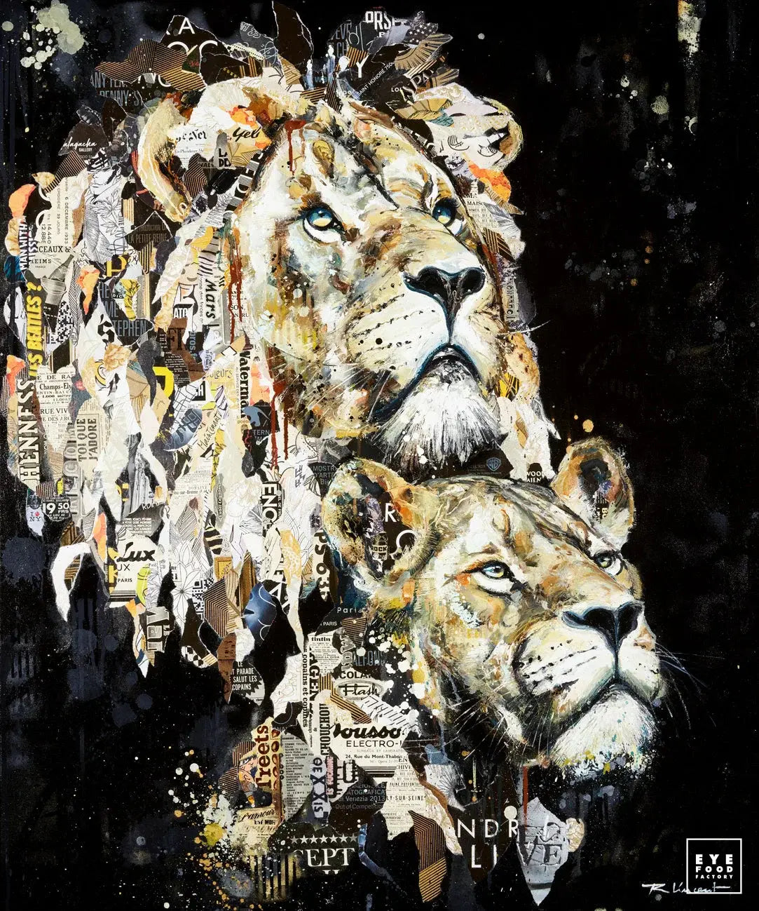 Mon Royaume • Éditions Limitées • Vincent Richeux