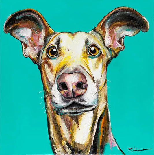 Paf Le Chien • Éditions Limitées • Vincent Richeux